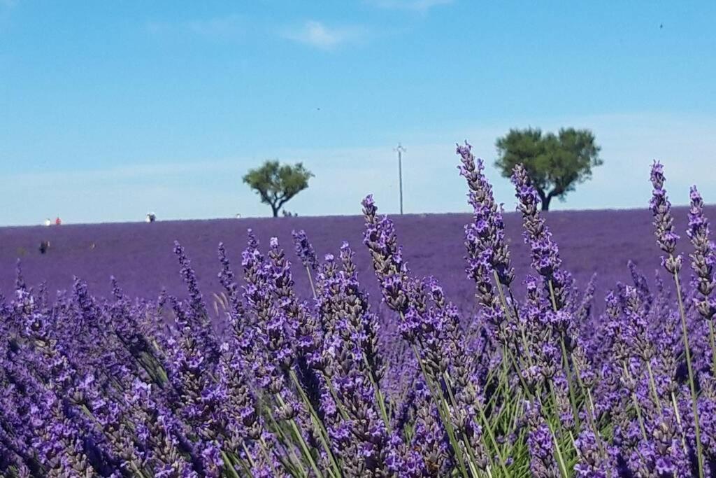 Lou Paradiu Du Verdon Allemagne-en-Provence Zewnętrze zdjęcie