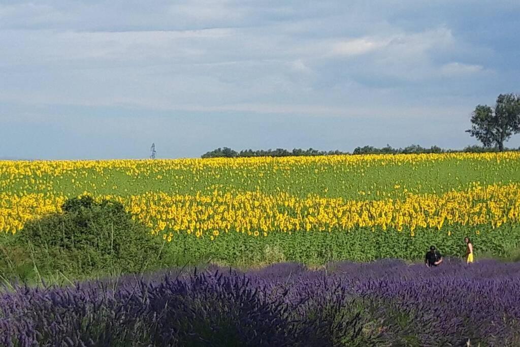 Lou Paradiu Du Verdon Allemagne-en-Provence Zewnętrze zdjęcie